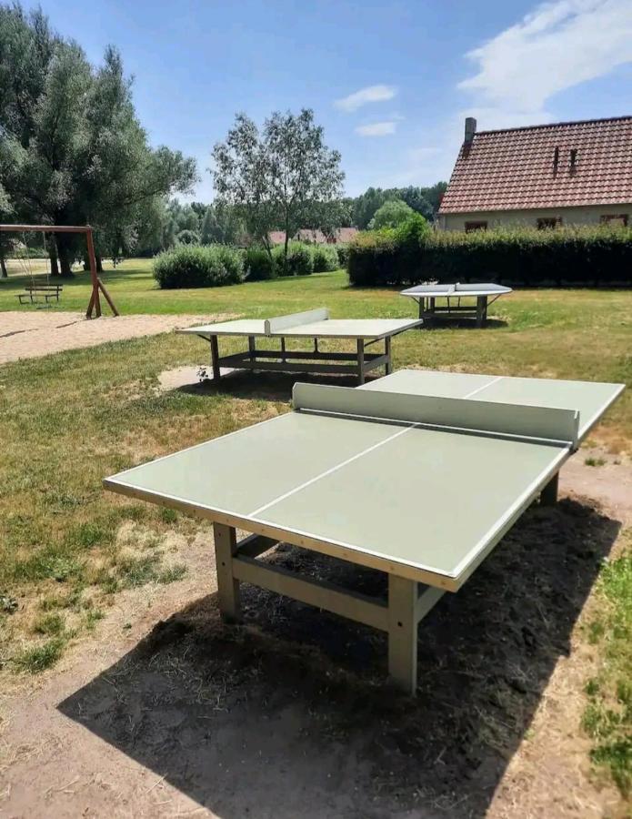 7 Person House With Garden, Firepit, Swimming Lake, Hammock, Child Friendly, In- And Outside Playground, Slide, And Great Coffee Ewijk 外观 照片